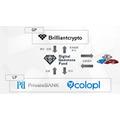 コロプラ子会社Brilliantcrypto、最大100万ドル規模のデジタル宝石ファンドを6月設立